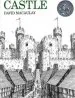 Audiobook Castle author David Macaulay