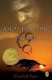 Audiobook Amos Fortune, Free man author Elizabeth Yates