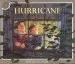 Audiobook Hurricane author David Wiesner