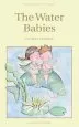 Audiobook The Water Babies author Charles Kingsley Jr.