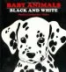Audiobook Baby Animals Black and White author Phyllis Limbacher Tildes