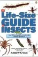 Audiobook The Life-Size Guide to Insects author Andrew Crowe