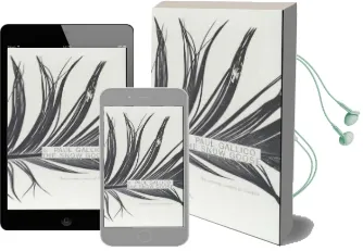 The Snow Goose and the Small Miracle Audiobook download free by Paul Gallico