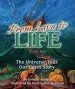 Audiobook From Lava to Life: Book Two: The Universe Tells our Earth Story author Jennifer Morgan
