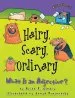 Audiobook Hairy Scary Ordinary - What is an Adjective ? author Brian Cleary