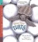 Audiobook One Tiny Turtle author Davies Nicola