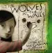 Audiobook The Wolves in the Walls author Neil Gaiman