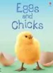 Audiobook Eggs and Chicks author Fiona Patchett