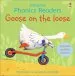 Audiobook Goose on the Loose Phonics Reader author Phil Roxbee Cox