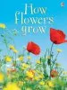 Audiobook How Flowers Grow author Emma Helbrough