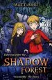 Audiobook Shadow Forest author Matt Haig