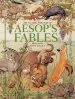 Audiobook The Classic Treasury of Aesop'S Fables author Don Daily