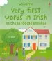 Audiobook Very First Words in Irish author Felicity Brooks