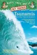Audiobook Magic Tree House Fact Tracker #15 Tsunamis and Other Natural Disasters author Mary Pope Osborne