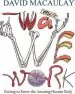 Audiobook Way we Work author David Macaulay