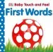 Audiobook Baby Touch and Feel First Words author Dk