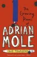 Audiobook The Growing Pains of Adrian Mole author Sue Townsend