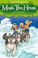 Audiobook Magic Tree House 12: Icy Escape! author Mary Pope Osborne