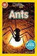 Audiobook National Geographic Kids Readers: Ants author Melissa Stewart