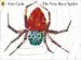 Audiobook The Very Busy Spider author Eric Carle