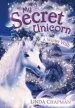 Audiobook My Secret Unicorn: A Winter Wish author Linda Chapman