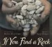 Audiobook If you Find a Rock author Peggy Christian