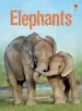 Audiobook Elephants author James Maclaine