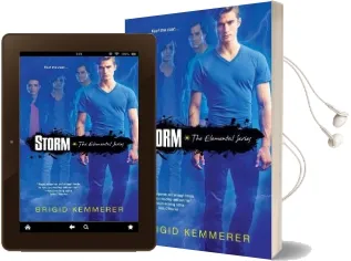 Storm Audiobook download free by Brigid Kemmerer