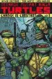 Audiobook Teenage Mutant Ninja Turtles Volume 1 Change is Constant author Kevin B. Eastman