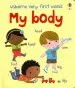 Audiobook Usborne Very First Words my Body author Felicity Brooks