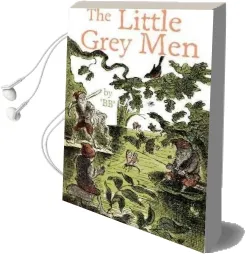 The Little Grey men Audiobook download free by B.B