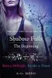 Audiobook Shadow Falls: The Beginning author C. C. Hunter