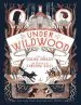 Audiobook Under Wildwood author Colin Meloy