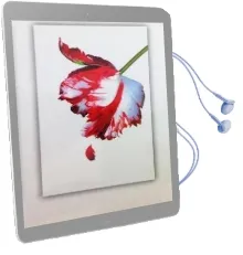 Twilight Saga 5 Book set (White Cover) Audiobook download free by Stephenie Meyer