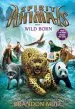 Audiobook Wild Born author Brandon Mull