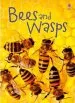 Audiobook Bees and Wasps author James Maclaine