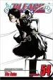 Audiobook Bleach, Vol. 54 author Tite Kubo