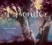Audiobook I Wonder author Annaka Harris