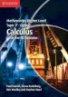 Audiobook Ib Diploma: Mathematics Higher Level for the ib Diploma Option Topic 9 Calculus author Paul Fannon
