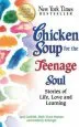 Audiobook Chicken Soup for the Teenage Soul: Stories of Life, Love and Learning author Kimberly Kirberger