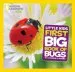 Audiobook Little Kids First big Book of Bugs author Catherine D. Hughes