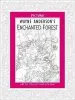 Audiobook Pictura: Enchanted Forest author Wayne Anderson