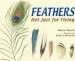 Audiobook Feathers author Melissa Stewart