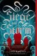 Audiobook Siege and Storm author Leigh Bardugo