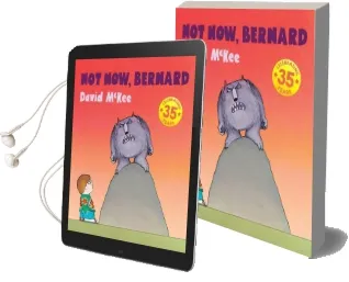 Not Now, Bernard Audiobook download free by David Mckee
