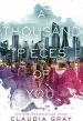 Audiobook A Thousand Pieces of you author Claudia Gray