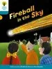 Audiobook Oxford Reading Tree Biff, Chip and Kipper Stories Decode and Develop: Level 9: Fireball in the sky author Roderick Hunt
