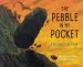 Audiobook The Pebble in my Pocket: A History of our Earth author Meredith Hooper