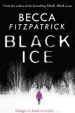Audiobook Black ice author Becca Fitzpatrick