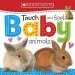 Audiobook Touch and Feel Baby Animals author Scholastic